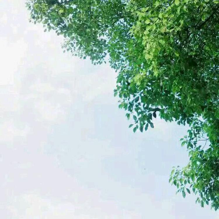 清水明 - 网络短剧全集在线观看 - 网络追剧